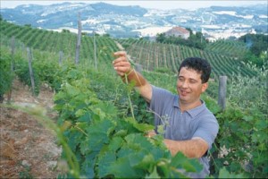 Gianfranco Torelli, enologo e produttore di vino di Bubbio, nell'Astigiano